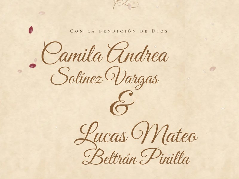 Vista previa de Camila & Lucas · Boda en papel de algodón